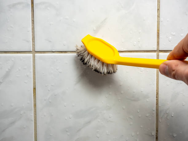 Best Mold Testing  in Concordia, NJ