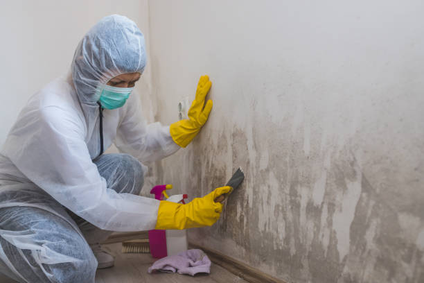 Best Emergency Mold Removal  in Concordia, NJ