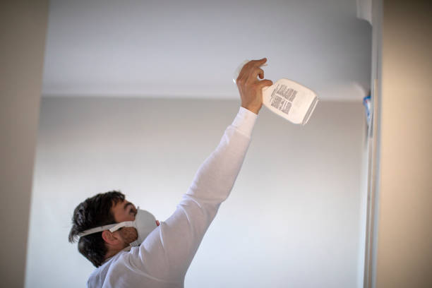 Best Commercial Mold Removal  in Concordia, NJ