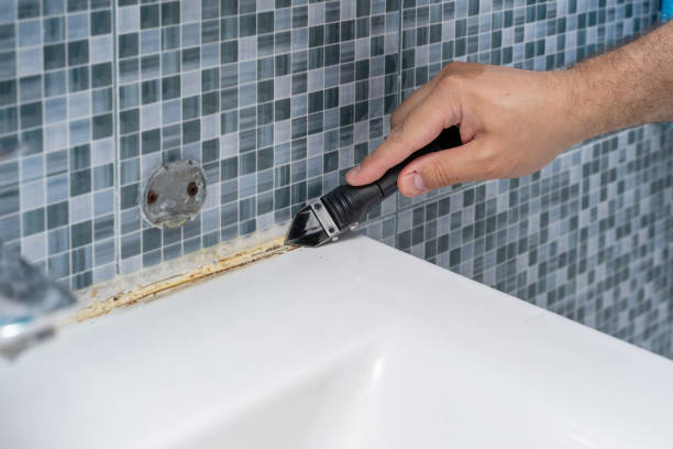 Professional Mold Removal in Concordia, NJ