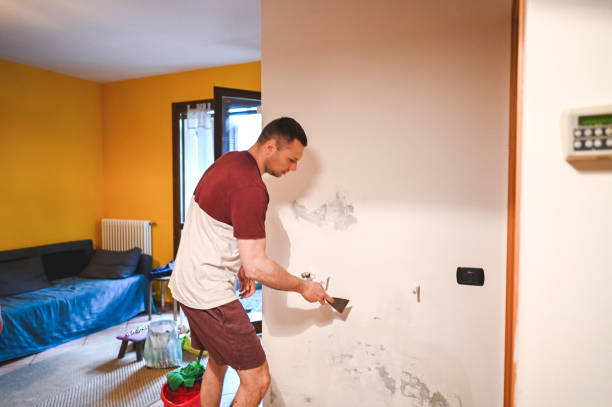 Best Crawl Space Mold Removal  in Concordia, NJ