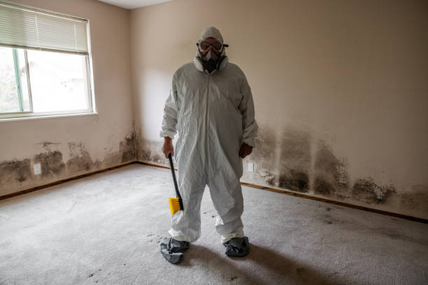 Best Affordable Mold Removal  in Concordia, NJ