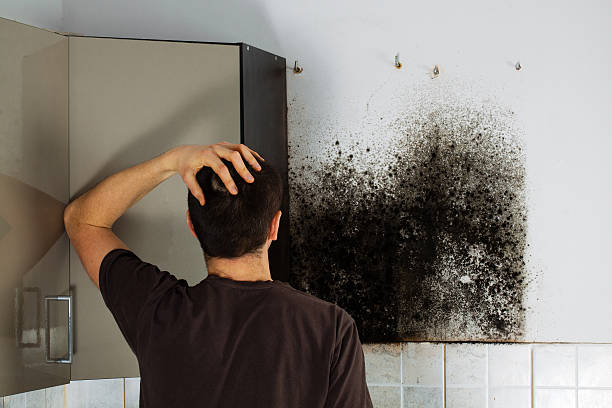 Best Residential Mold Removal  in Concordia, NJ